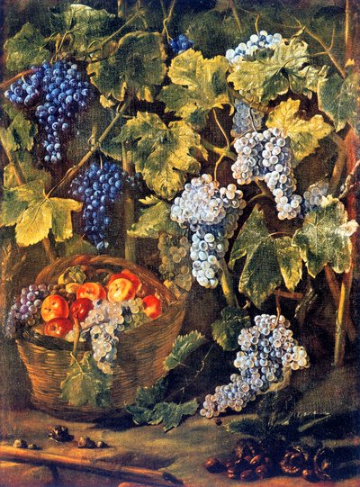 Nature morte avec panier de fruits, châtaignes et fond de vignes et grappes de raisin - Michelangelo Cerquozzi